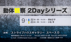 深谷正子「動体観察 2Dayシリーズ」2024年9月