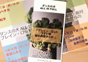 『ダンスの犬ALL IS FULL　ブレイン・ロット　うすい風　脳の腐敗からの（深谷正子演出・振付）』4月27日〜公演の立ち会い記録と感想