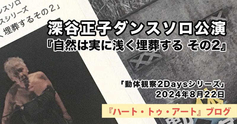 深谷正子「動体観察2Daysシリーズ」8月22日バージョン『自然は実に浅く埋葬する その2』