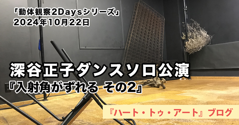 深谷正子「動体観察2Daysシリーズ」10月22日バージョン『入射角がずれる その2』