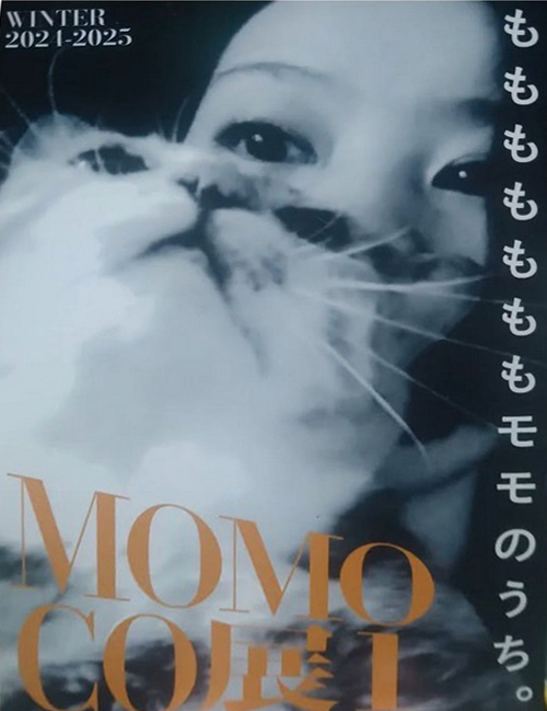 【ももぢ】MOMO CO展「もももももももモモのうち」〜伊豆大島・観光喫茶ももももにて（2024年12月5日〜1月31日）